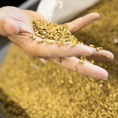 팜스테이 La Grada *